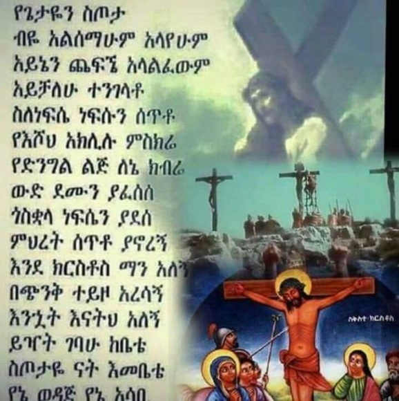 Meet your Posher, Emebet - Picture 1 of 1